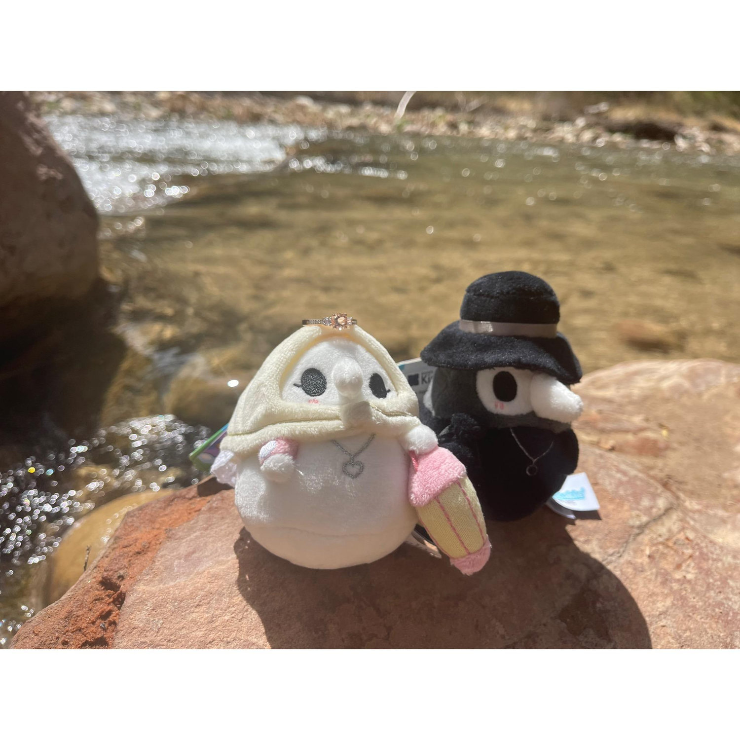 Zion National Park  engagement day! 2025  💍
