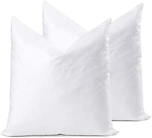 YSTHER Down Feather Throw Pillow Inserts 20x20 Set of 2 Square Form Sham Stuffer Premium Hypoallergenic Cotton Lumbar White Decorative Sofa Cushion Couch