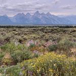 Grand Teton National Park