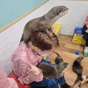 Otter Cafe in Tokyo!