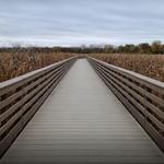 Wawasee Area Conservancy