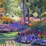 Rotary Botanical Gardens