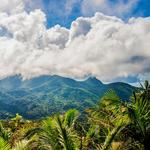 El Yunque National Rainforest