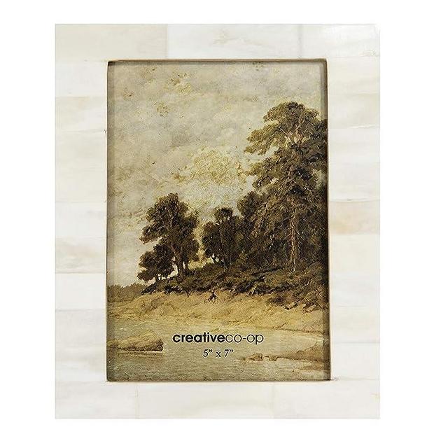 Creative Co-Op White Resin Beige Accents (Holds 5" x 7" Picture Frames and Photo Holders