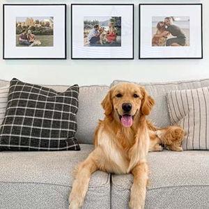 Framing Gift Card (dog optional)