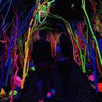 Meow Wolf Santa Fe