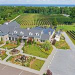 Del Vino Vineyards