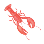 The Lobster House