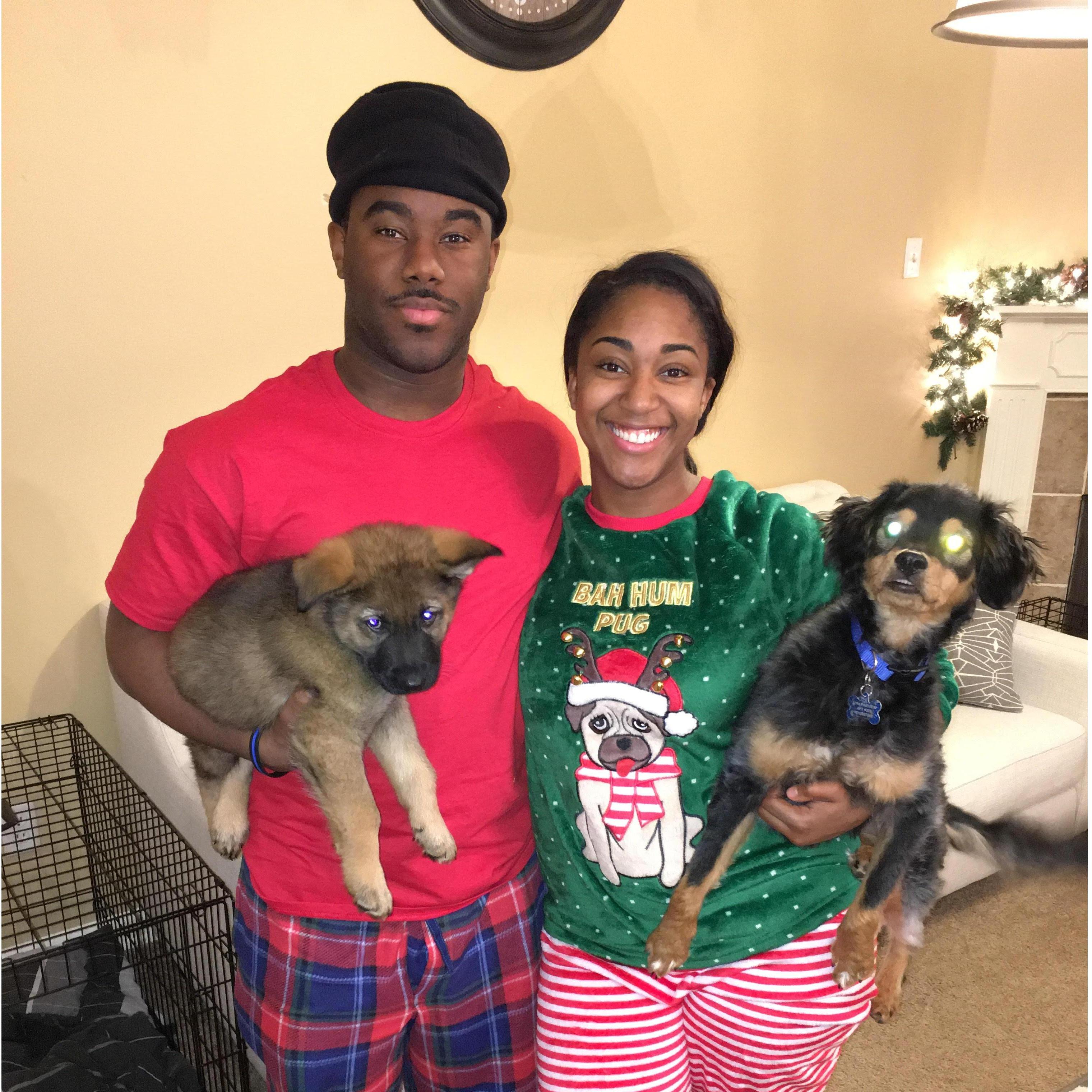 We added two fur babies to our family!