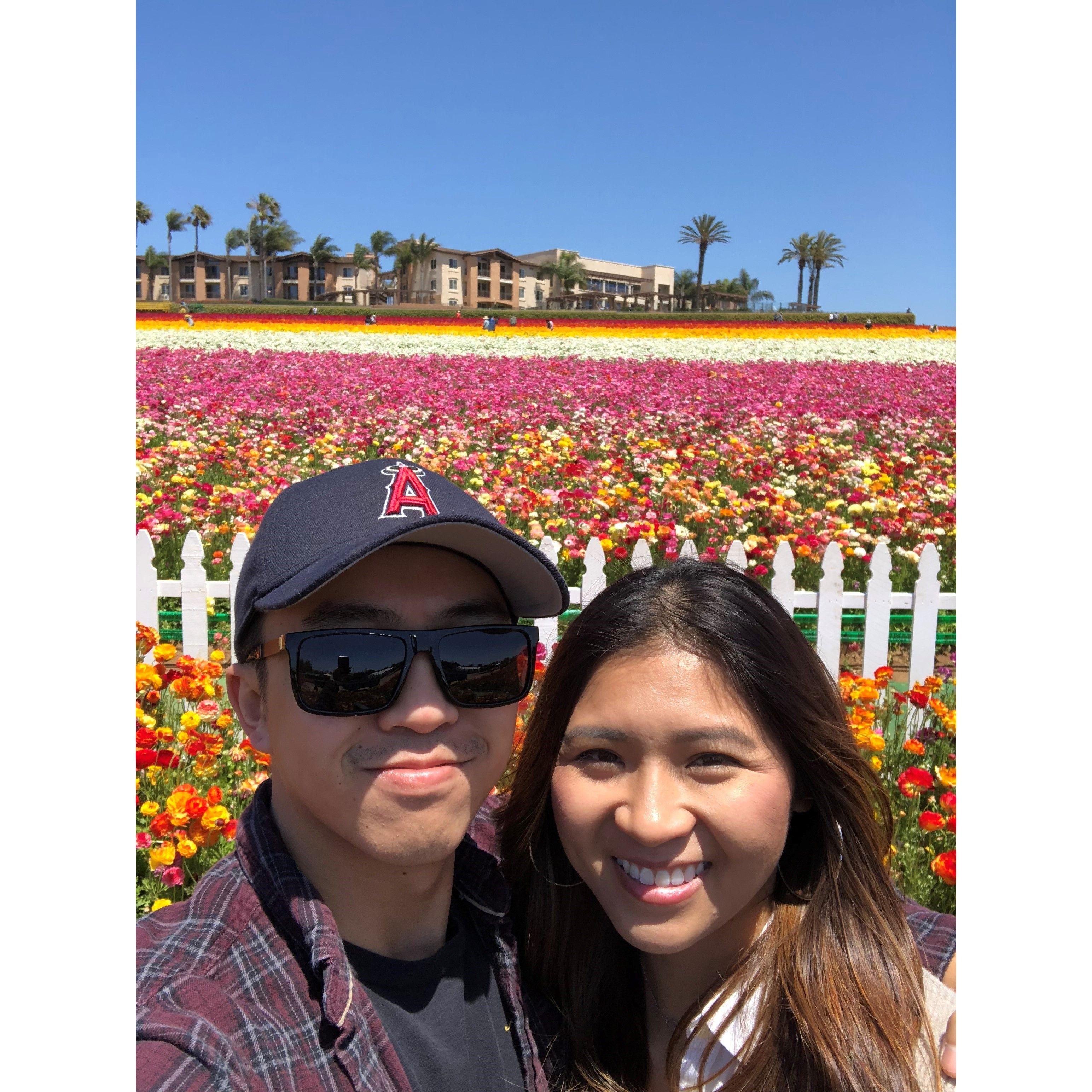 The Flower Fields 2018