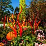 Chihuly Garden and Glass