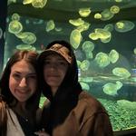 OdySea Aquarium