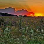 Prophetstown State Park