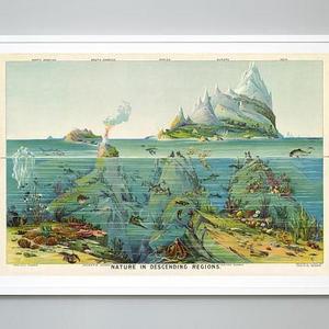 24x36- Nature in Descending Regions Pictorial Science Map, Levi Walter Yaggy, c. 1893, Giclee Print, Museum Quality, Educational Chart