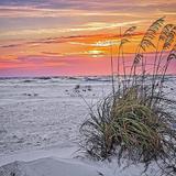 Anna Maria Island