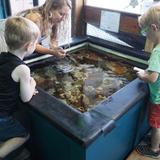 Marine Life Center
