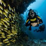 Scuba Diving / Snorkeling