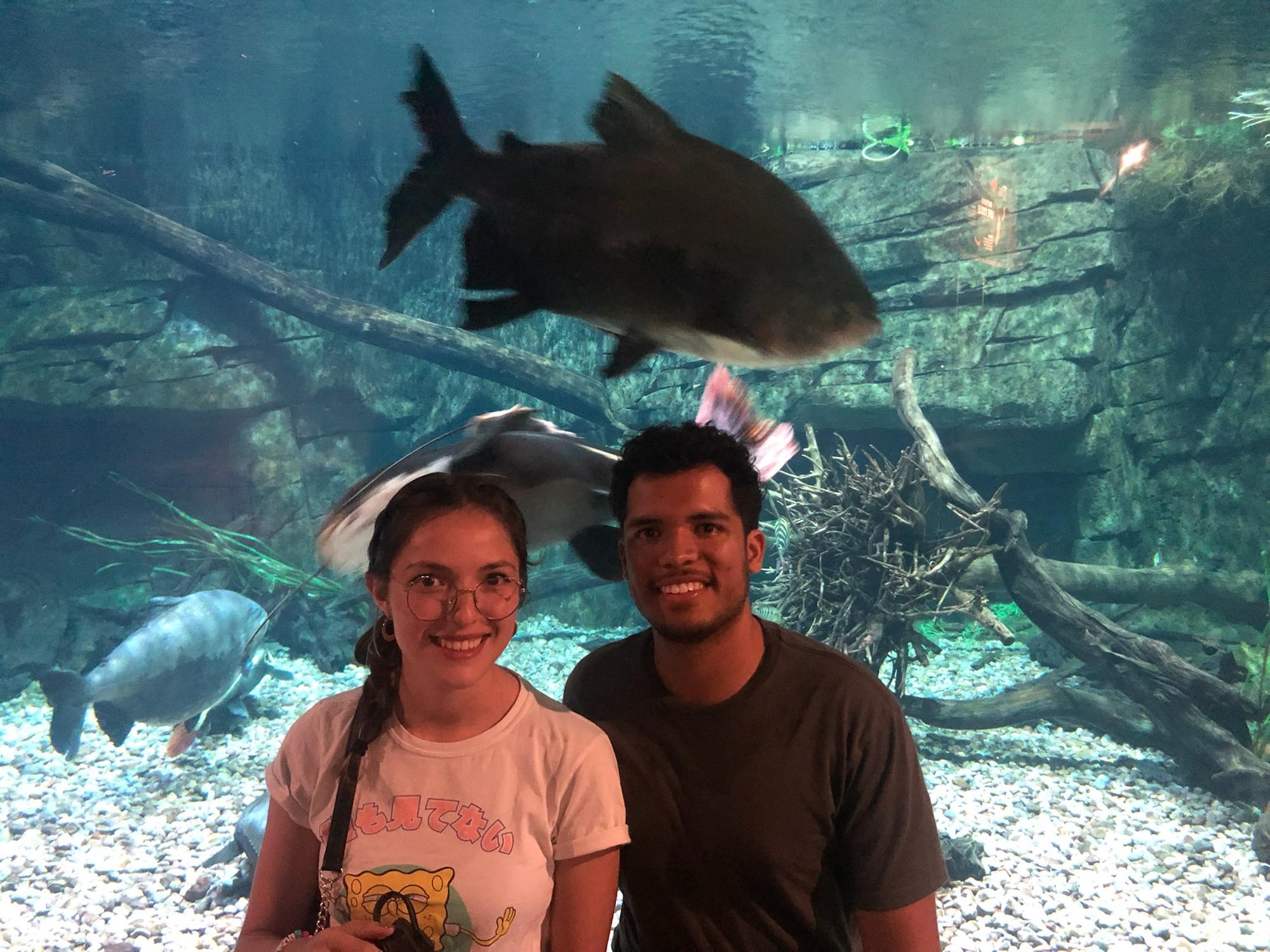 Aquarium date, turns out we both are easily entertained by watching fish.