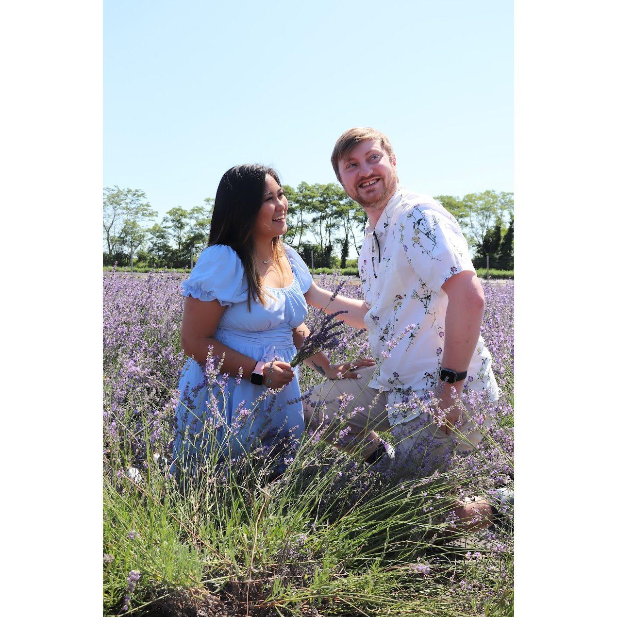 Long Island lavender fields- July 2022