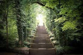 The Wedding Website of Daniela Contreras and Dakota Pierce