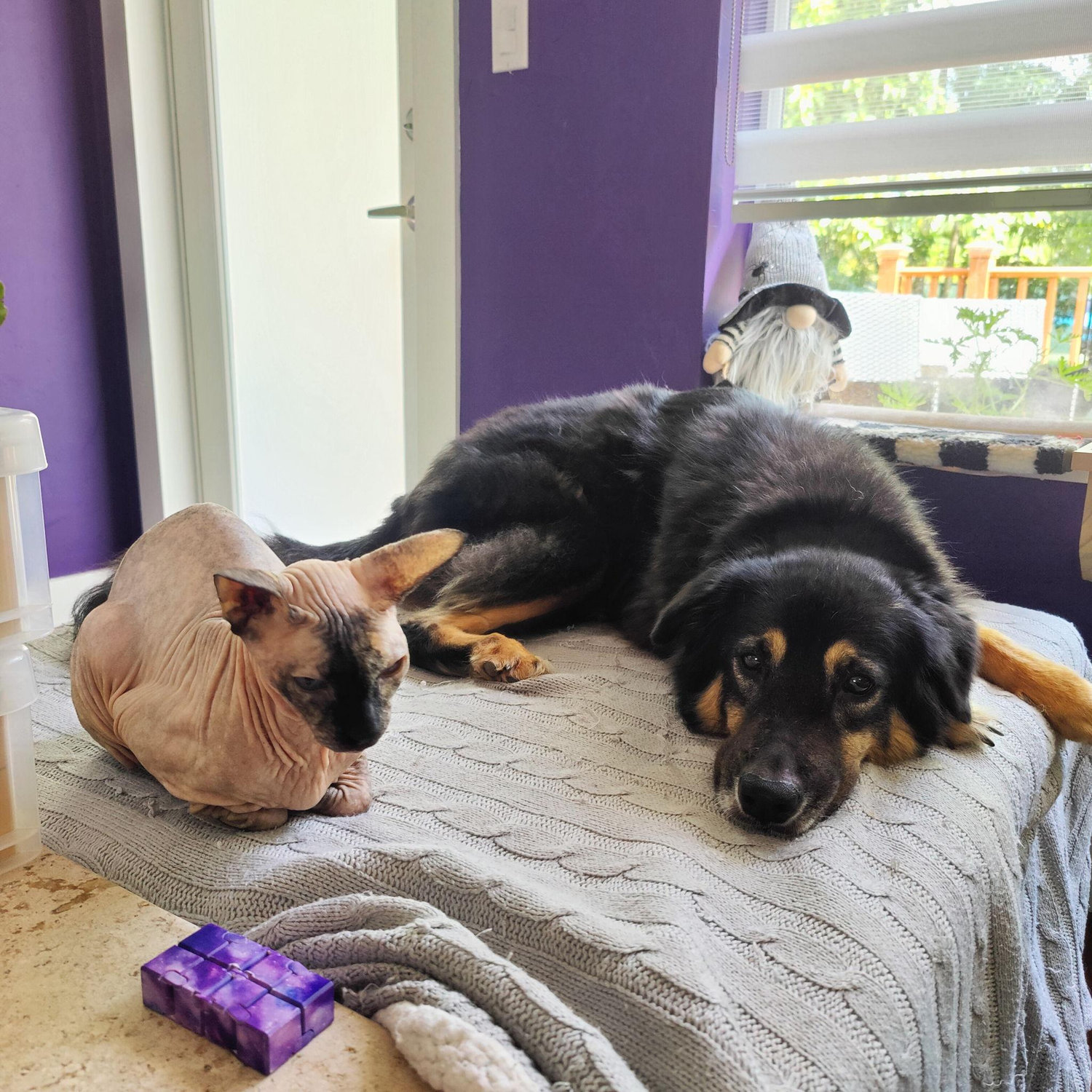 Luna & Scarlett
