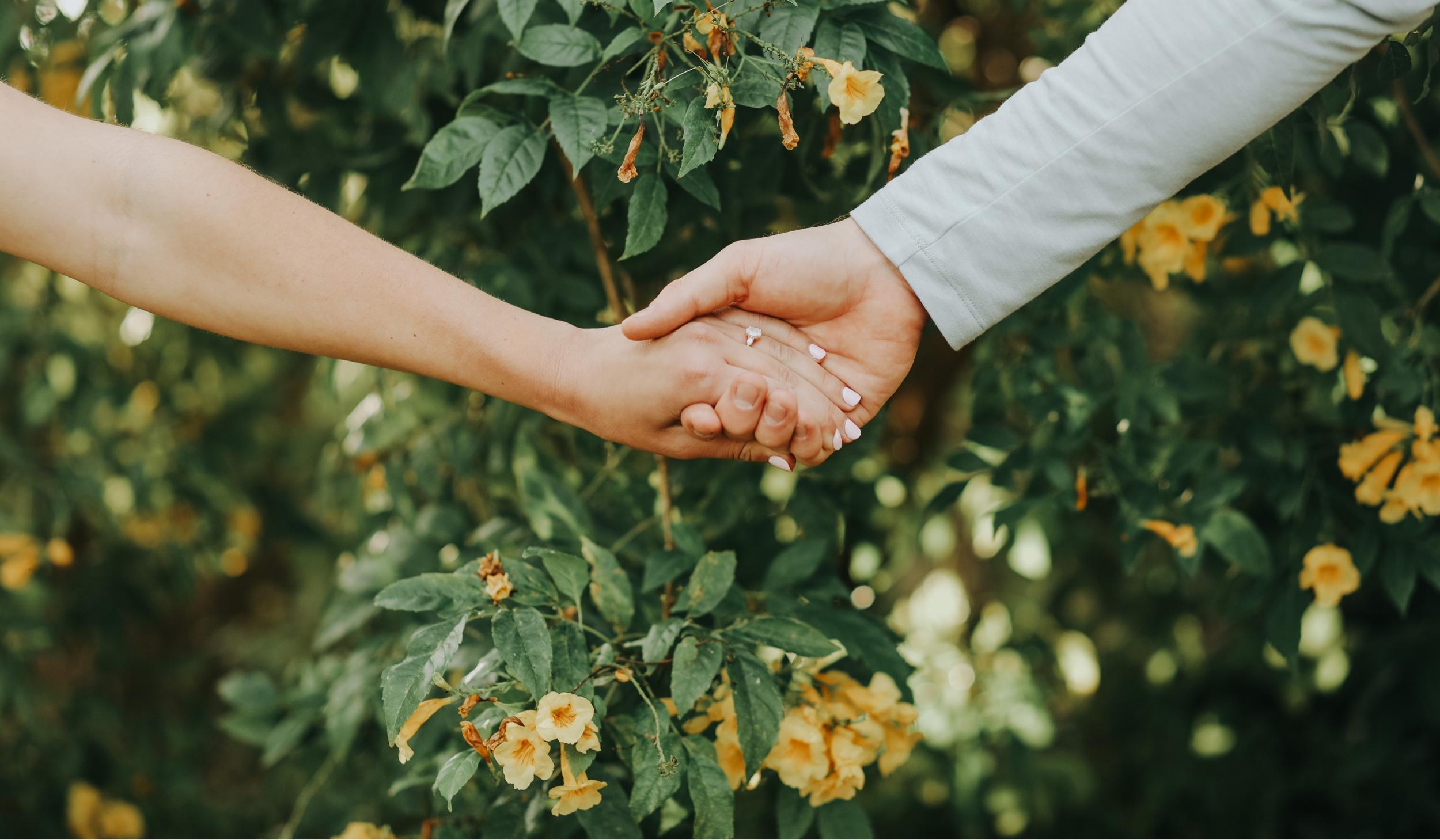 The Wedding Website of Celia-Rae Greco and Griffin Robinson