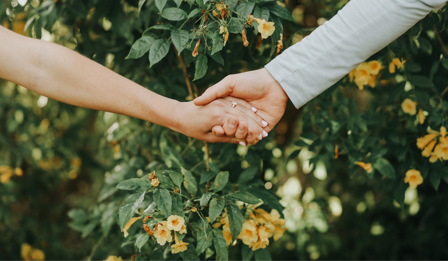 The Wedding Website of Celia-Rae Greco and Griffin Robinson