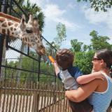 Naples Zoo at Caribbean Gardens