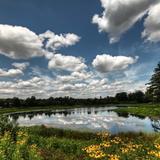 The Morton Arboretum
