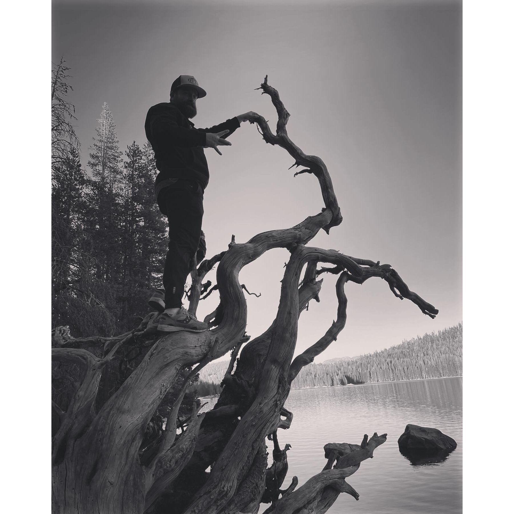 Lake Alpine