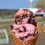 Moomers Homemade Ice Cream