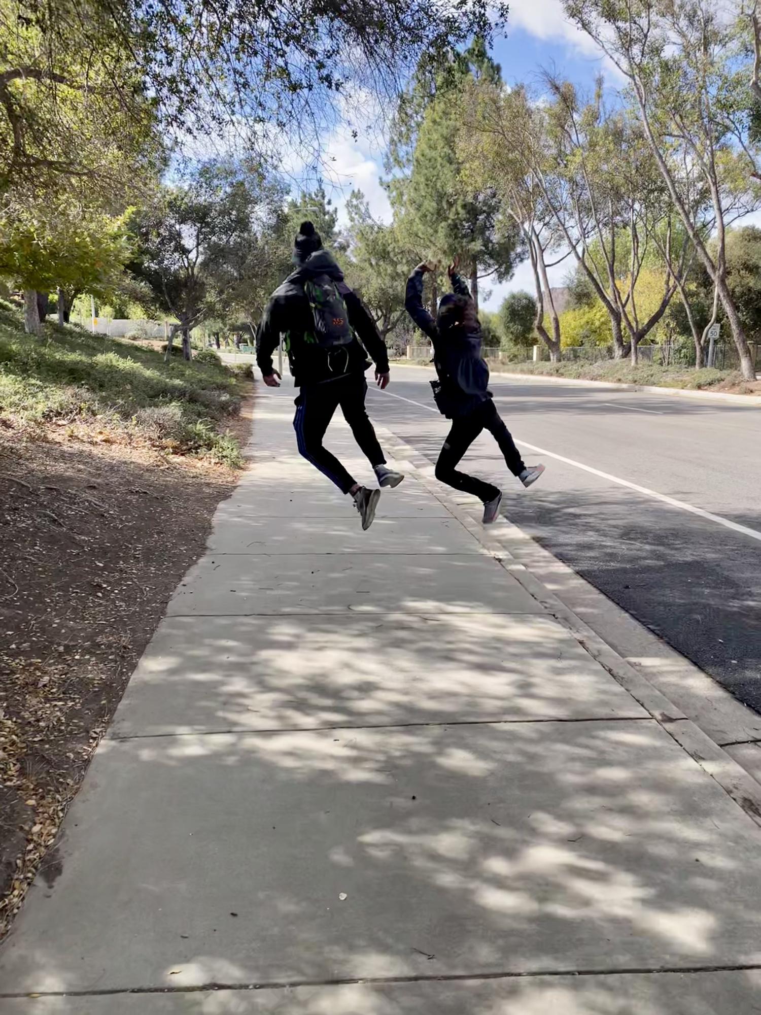 Multiple Sclerosis 50 Mile Challenge Walk 2020 (virtual in Thousand Oaks)