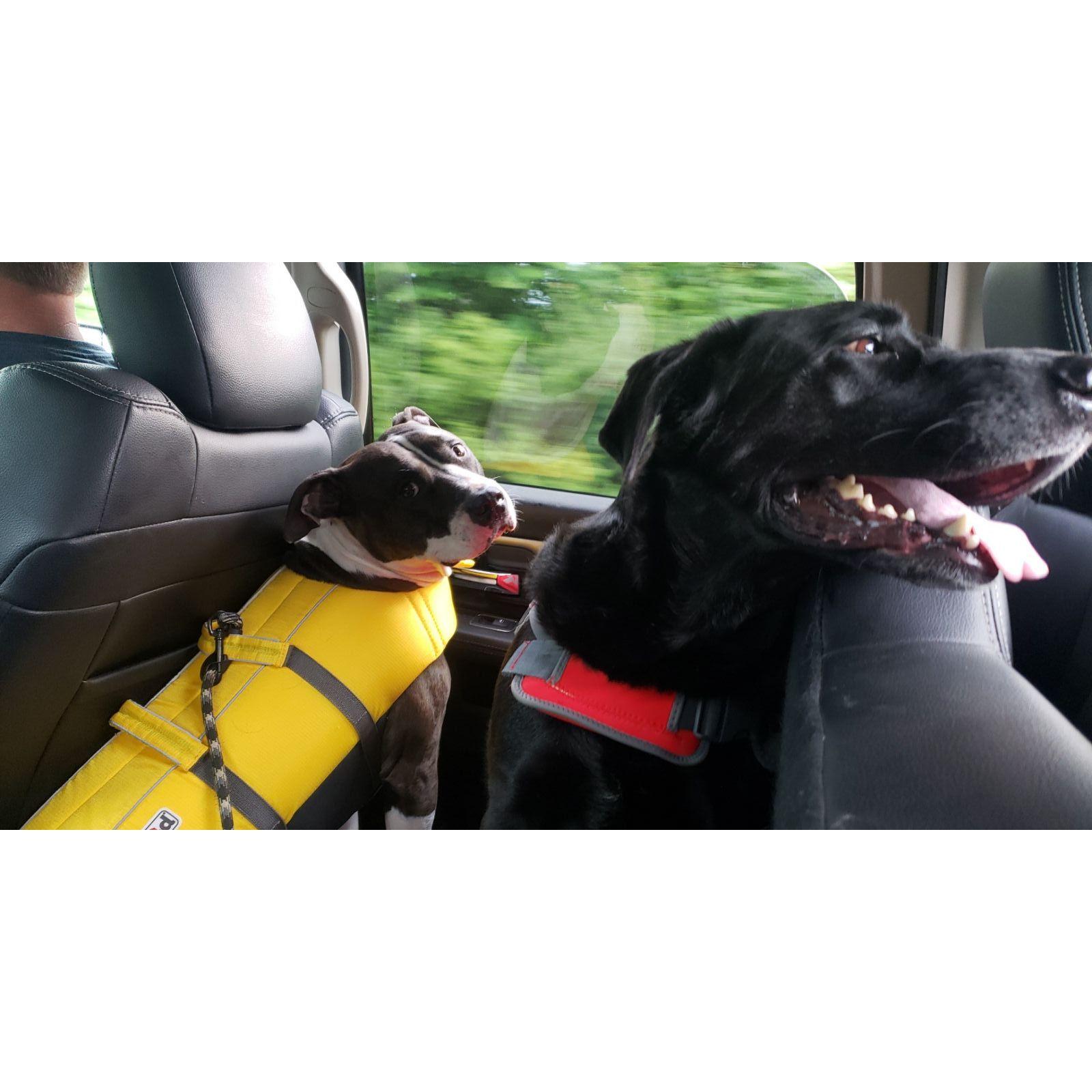 Lake day for Kevin and Milo