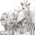 Abilene Zoo at Groover Nelson Park