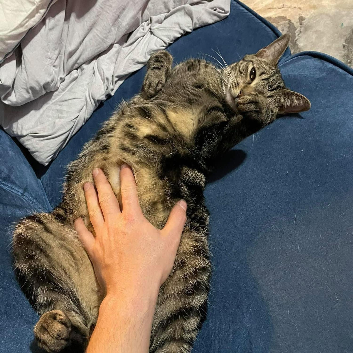 Our son