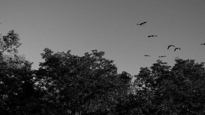 df769fb3-5c7a-4ecd-804c-4e1adedf12aa