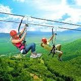 Ziplining Adventure