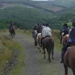 Horse Riding