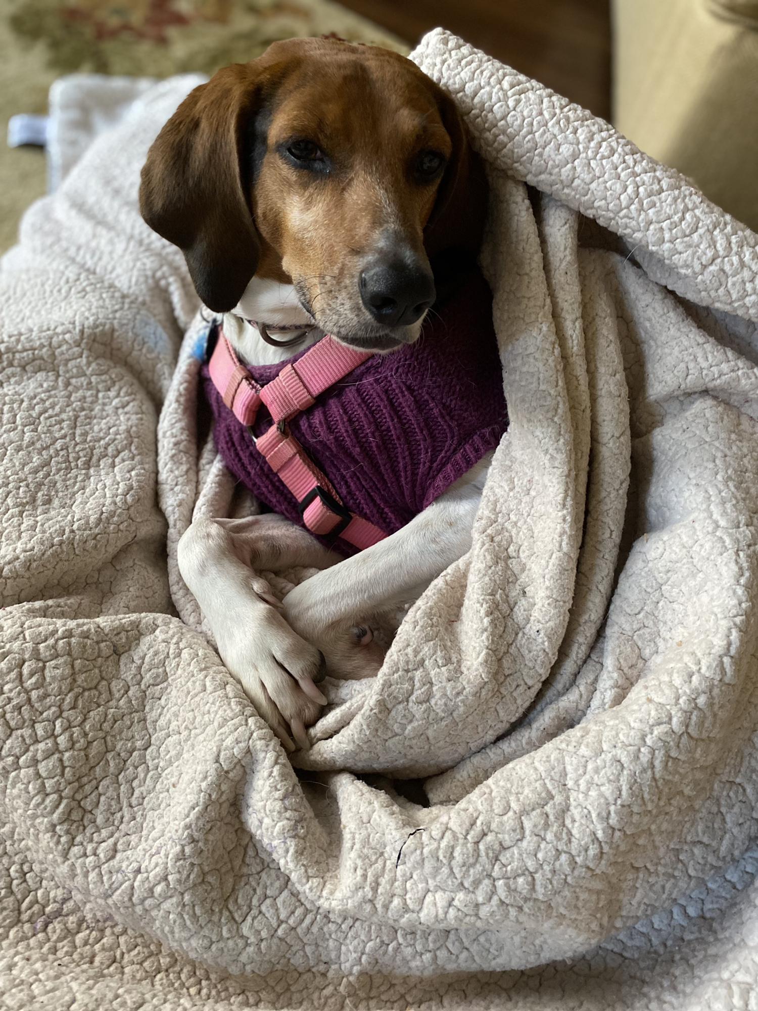 Clem struggles with the cold. She is from bardstown ky