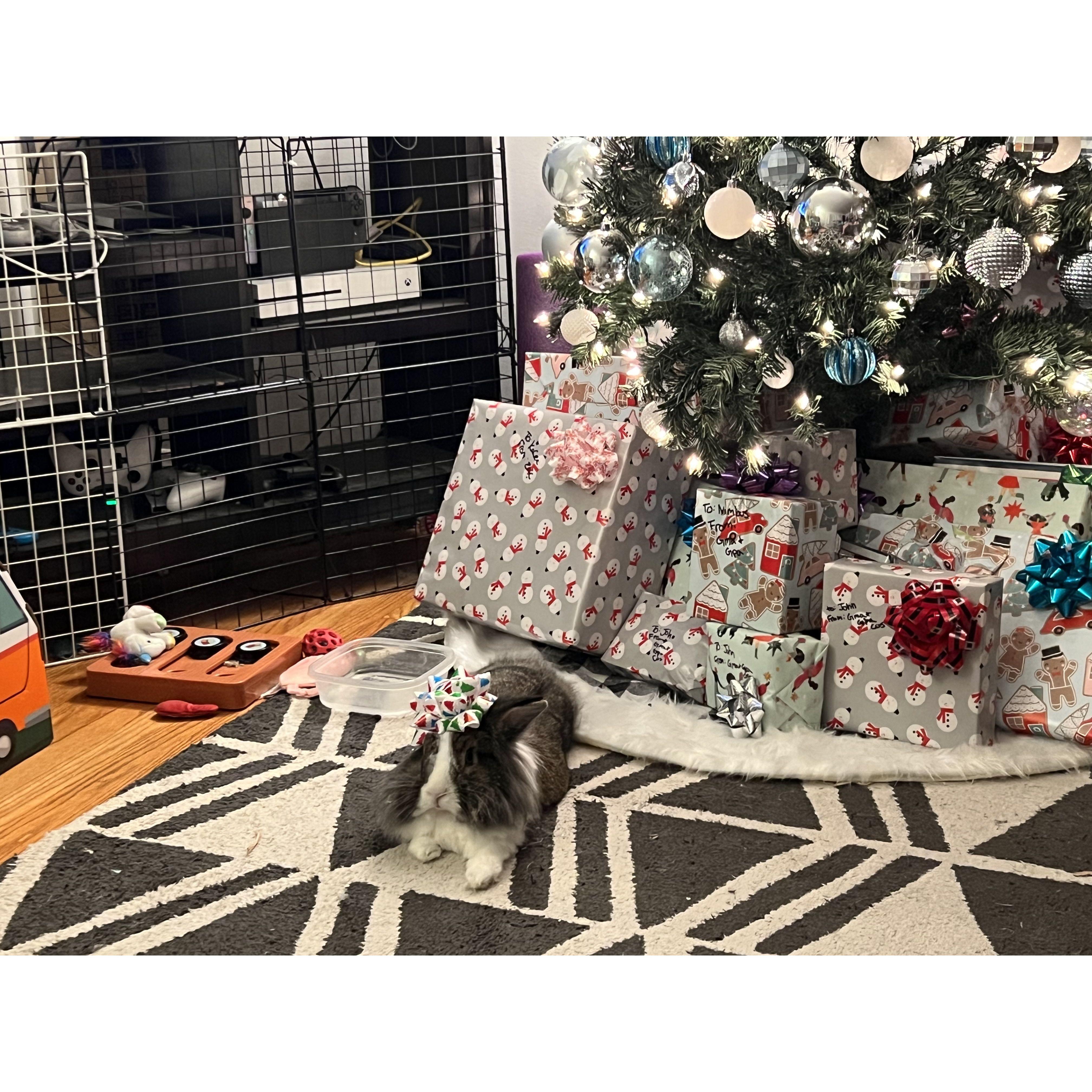 Twix is the sweetest gift under the tree