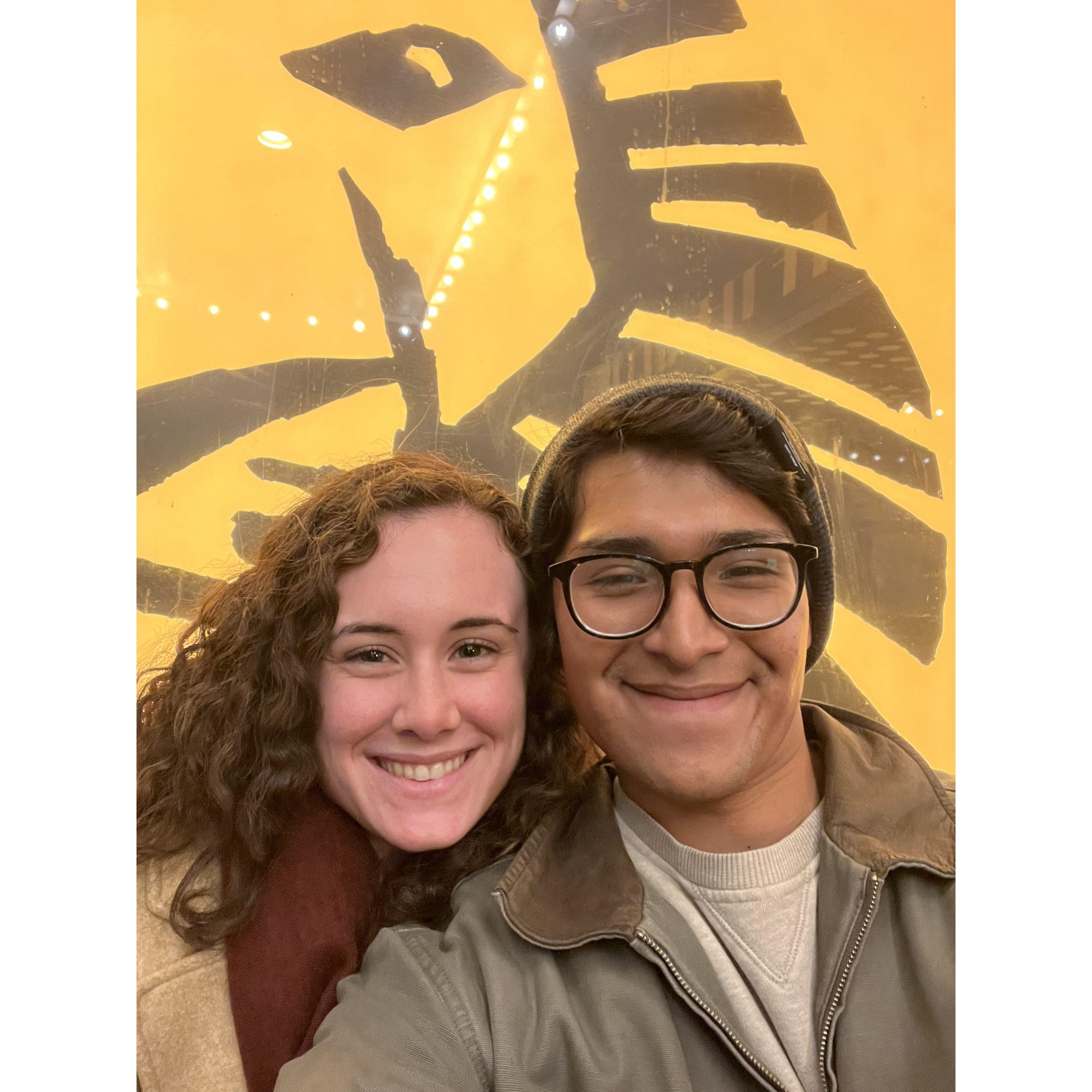 The Lion King on Broadway, February 2022