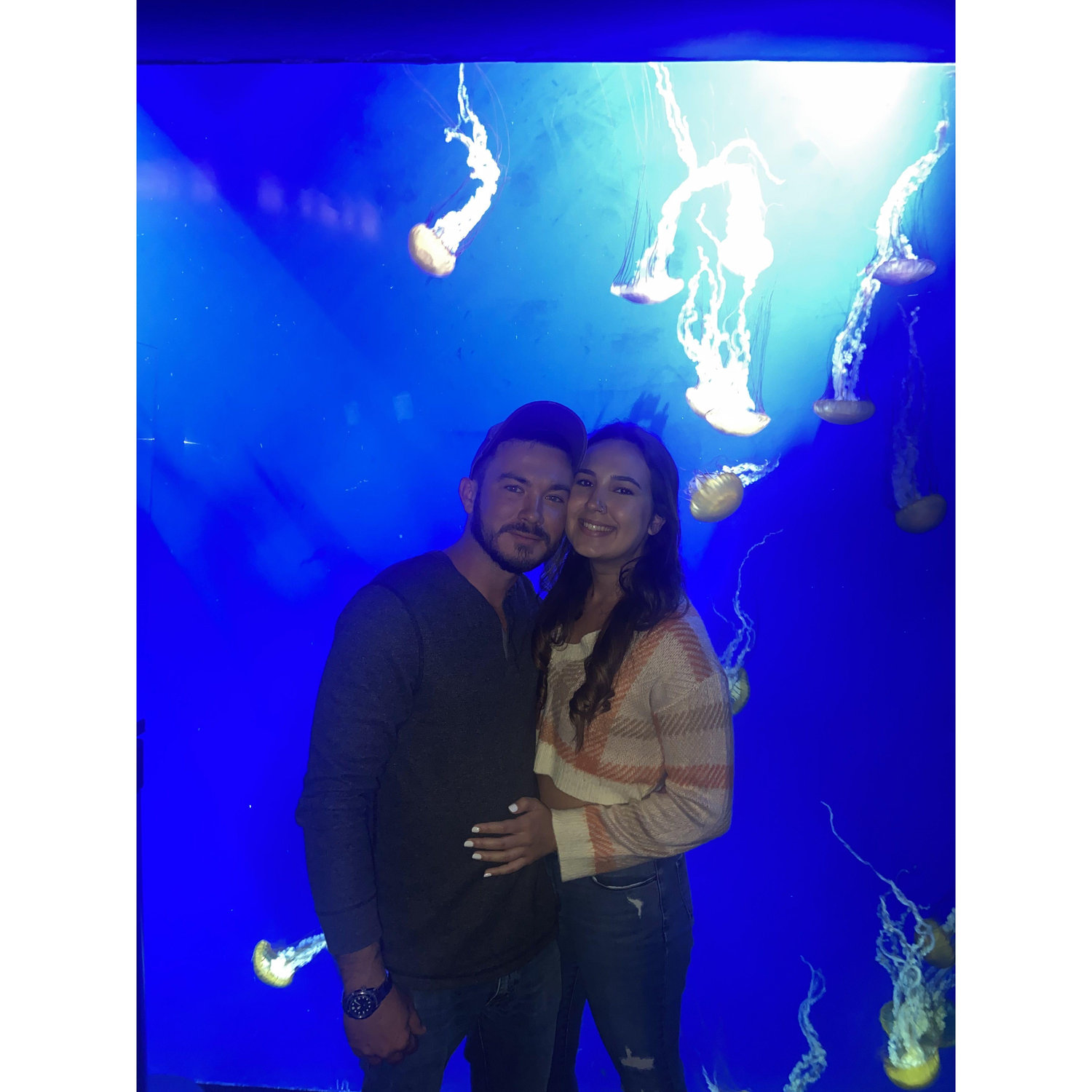 Georgia Aquarium