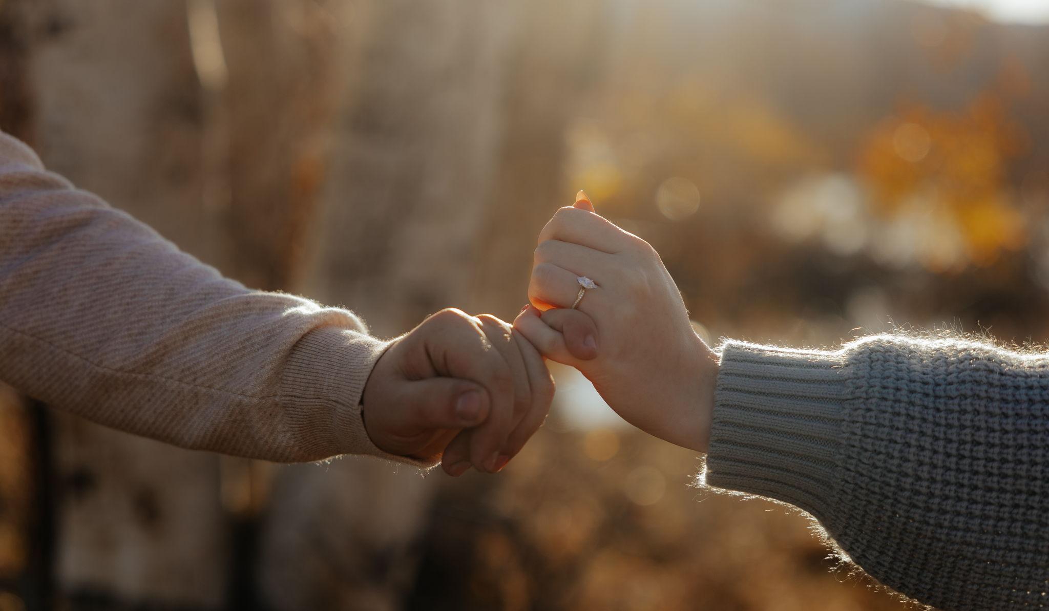 Hero Slideshow Image 0