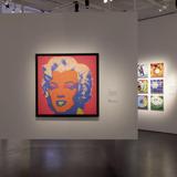 The Andy Warhol Museum