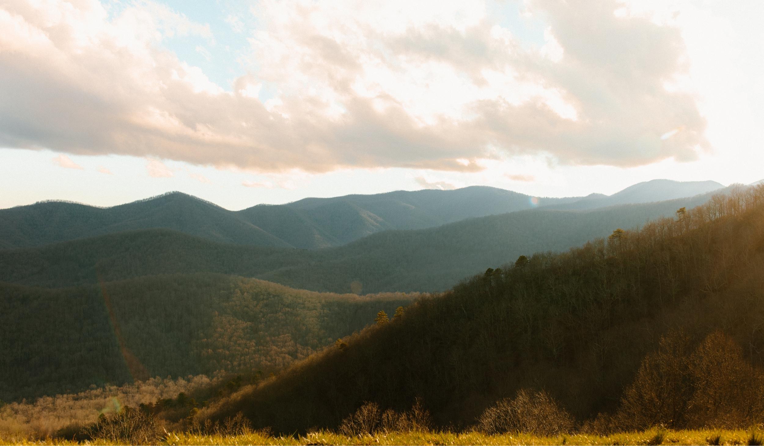 The Wedding Website of Peyton Young and Zach Boyles