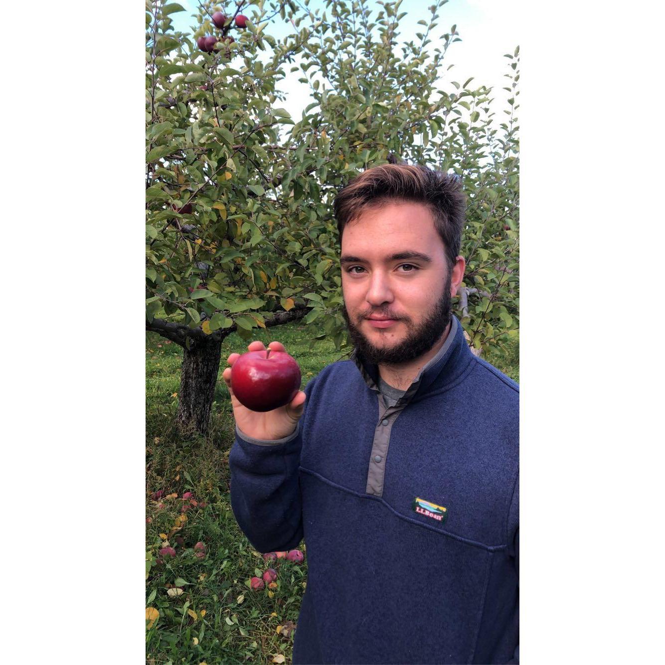 Ben's first time apple picking.