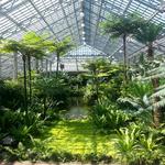 Garfield Park Conservatory