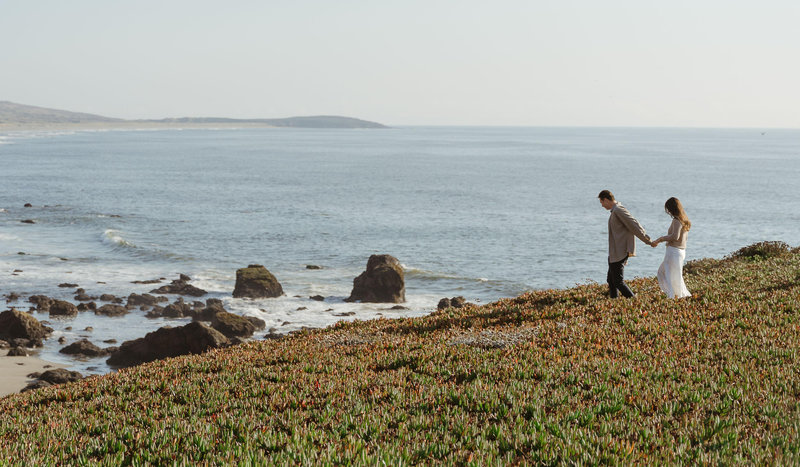 emily-berlinger-and-matthew-berry-s-wedding-website