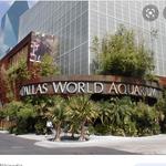 The Dallas World Aquarium