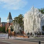 Toomer's Oaks